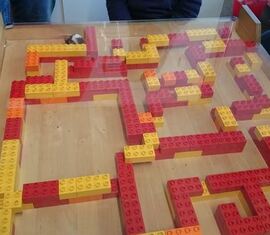 Unser Mäuselabyrinth.