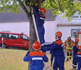 Die Rettung des Kuscheltieres aus dem Baum läuft reibungslos.