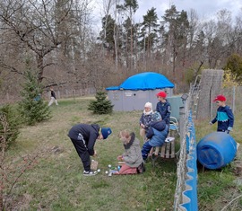 Ostereiersuche in der hohen Bergstraße in Döbern