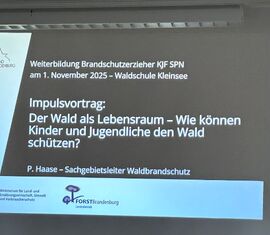 Vorträge von der Forstwirtschaft und den Ausbildern bestimmten den Vormittag