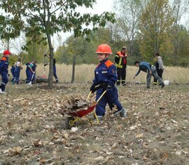 Tatkräftig packen alle mit an, um Laub und Rasenschnitt auf dem Gelände zu bringen
