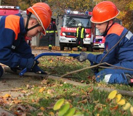 Erster Einsatz - Baum Auf Radweg. Die Bäume werden unter Einsatz einer Bügelsäge zerkleinert und anschließend vom Radweg beräumt.