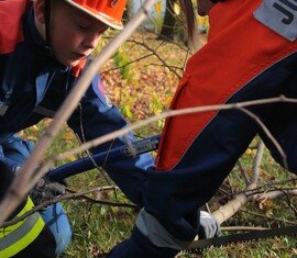 Erster Einsatz - Baum Auf Radweg. Die Bäume werden unter Einsatz einer Bügelsäge zerkleinert und anschließend vom Radweg beräumt.